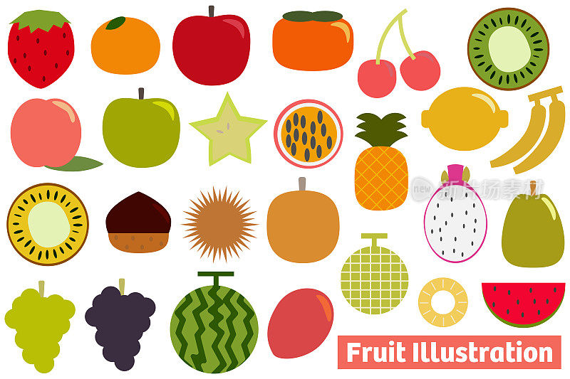 Simple fruit illustration set